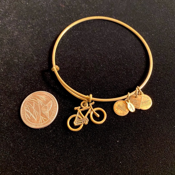 Alex and Ani Charity by Design Bike Rafaelian Gold Bangle Bracelet - Picture 11 of 14